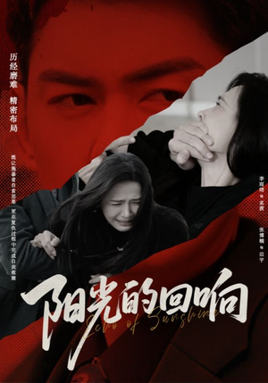 阳光的回响（50集）在哪个平台能看