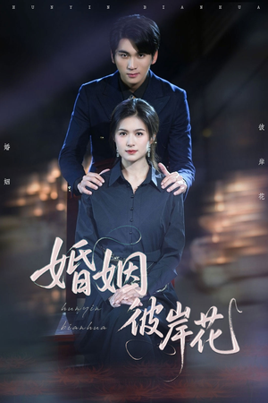 婚姻彼岸花（63集）第一集