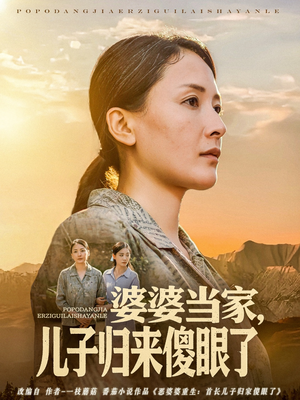 婆婆当家儿子归来傻眼了（80集）精彩短剧后续