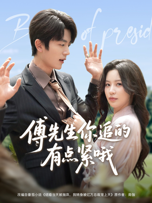 傅先生你追的有点紧哦（95集）怎么看全集
