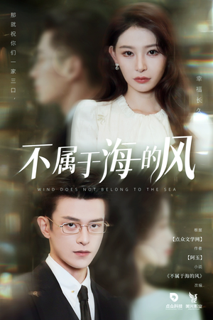 不属于海的风（40集）无需会员轻松看