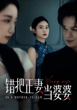 错把正妻当婆婆（46集）热门短剧追不停