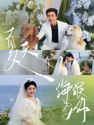 夏天，海浪与你（76集）精彩短剧来袭
