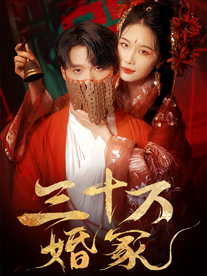 三十万婚冢（51集）全集