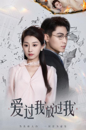爱过我放过我（51集）1-102集
