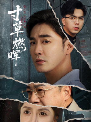 寸草燃晖（70集）夸克在线观看