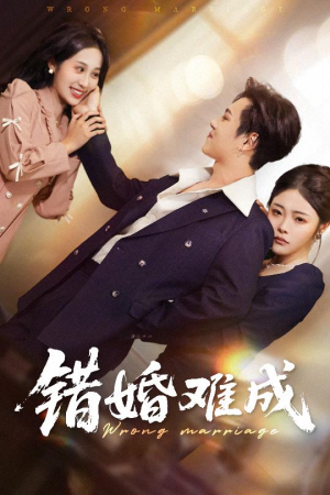 错婚难成（45集）超火热门短剧
