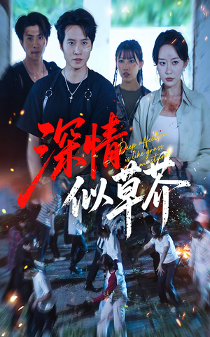 深情似草芥（51集）热播古装短剧