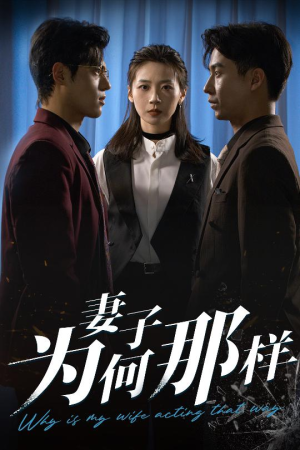 妻子为何那样（60集）免费看短剧全集