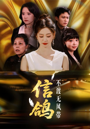 信鸽不渡无风带（65集）正能量短剧分享