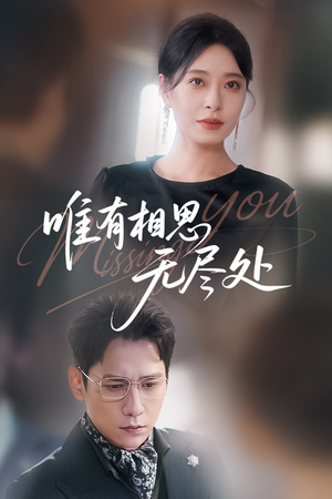 唯有相思无尽处（66集）解说