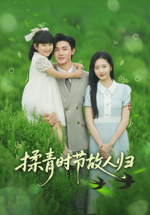 揉青时节故人归（60集）大结局一气呵成