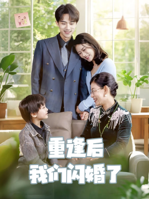 重逢后我们闪婚了（35集）红果短剧免费看
