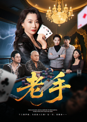 老手（36集）精彩的网络短剧