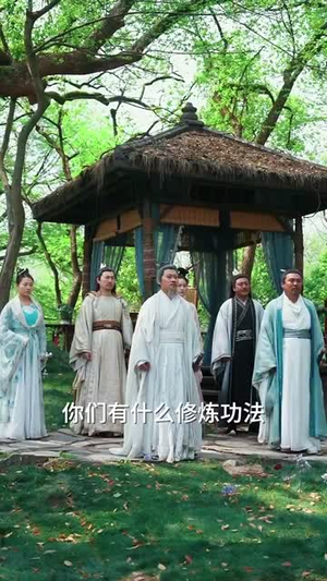 有请小师叔（61集）全部免费看全集
