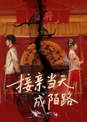 接亲当天成陌路（50集）短剧免费看全集
