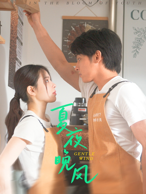 夏夜晚风（12集）短剧免费观看