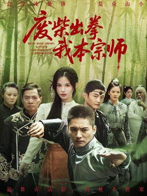 废柴出拳我本宗师（61集）追短剧看全集