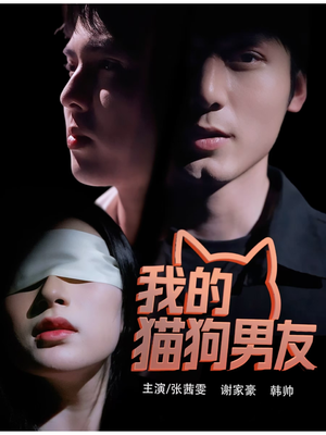 我的猫狗男友（53集）短剧每日分享