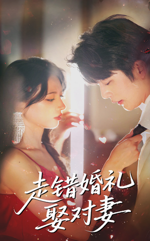 走错婚礼娶对妻（60集无需会员免费看