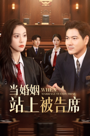 当婚姻站上被告席（30集）原创精彩短剧