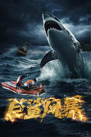 巨鲨风暴（59集）免费观看