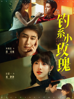 钓系小玫瑰（82集）精彩不断免费看
