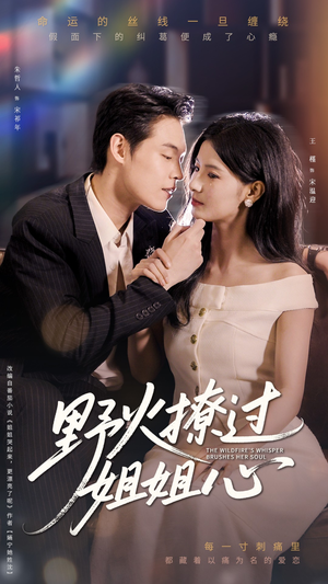 野火撩过姐姐心（97集）短剧