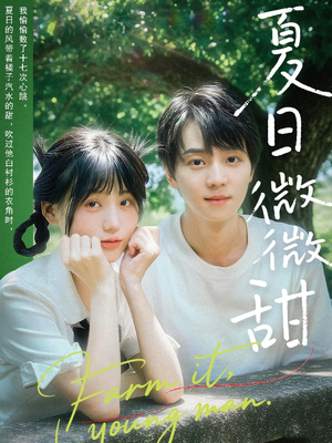 夏日微微甜（79集）全集免费