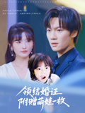 领结婚证附赠萌娃一枚（53集）免费短剧大全