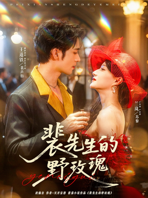 裴先生的野玫瑰（72集）免费短剧全集看