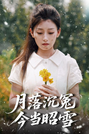 月落沉冤今当昭雪（60集）迅雷网盘观看