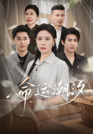 命运潮汐（62集）精彩短剧上线