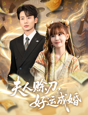 夫人赊刀好运成婚（63集）免费在线看全集