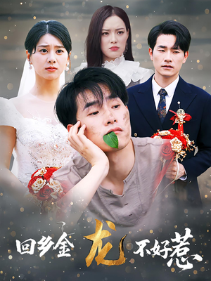 回乡金龙不好惹（74集）一共多少集