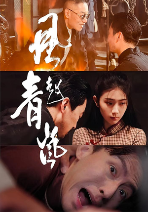 风起青岚（96集）热门短剧追不停