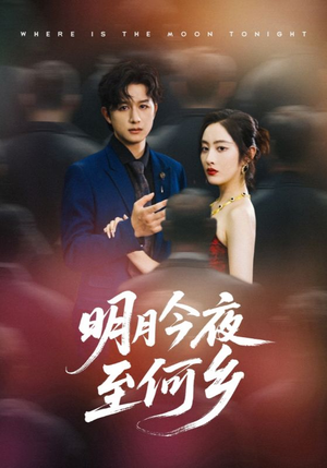 明月今夜至何乡（70集）高清无码免费看