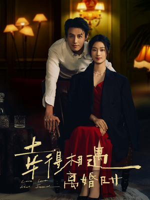 幸得相遇离婚时（81集）网盘在线观看