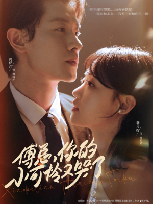 傅总你的小可怜又哭了（80集）演员表