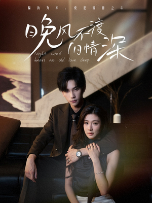 晚风不渡旧情深（70集）免费看全集