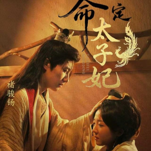 命定太子妃（63集）免费短剧全集看