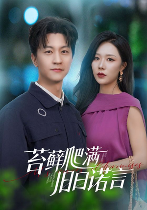 情途难负（83集）一口气看完
