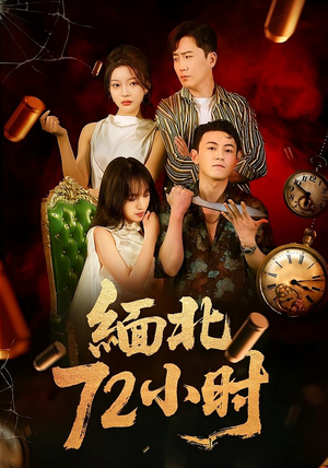 缅北72小时（43集）无需充值尽情看