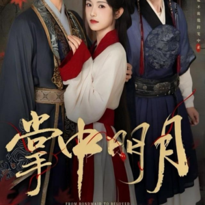 掌中明月（60集）短剧小说在线看