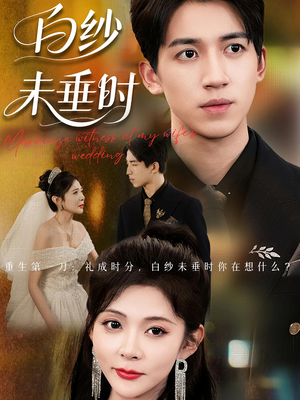 老婆婚礼，我当证婚人&老婆婚礼我当证婚人&白纱未垂时（54集）每日短剧推荐