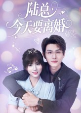 陆总今天要离婚（81集）好看上头的短剧