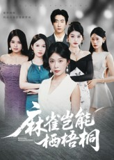 麻雀岂能栖梧桐（31集）常回家看看短剧