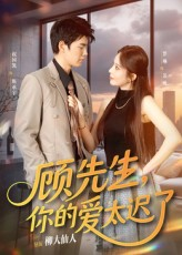 顾先生你的爱太迟了（60集）免费在线看全集