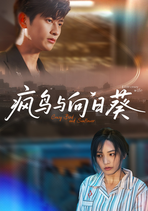 疯鸟与向日葵（40集）百亿短剧抢先看