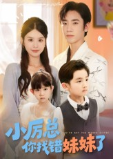 小厉总你找错妹妹了（52集）短剧全集更精彩